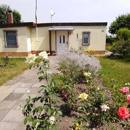 Ferienhaus Kaiserfelder Olbersdorf Exterior foto